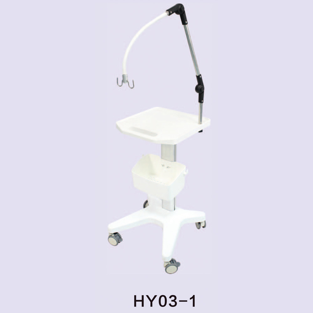 HY03-1